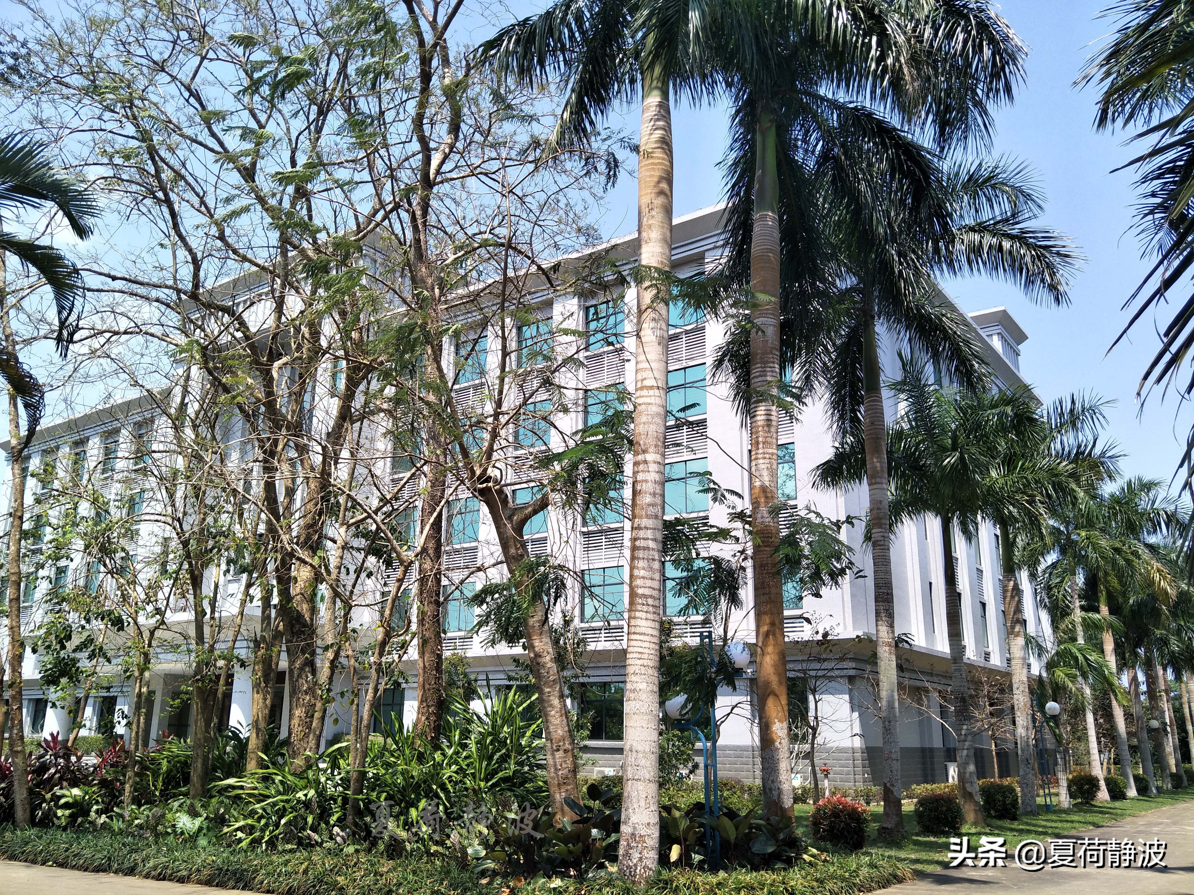 兴隆热带植物园攻略,万宁兴隆热带植物园