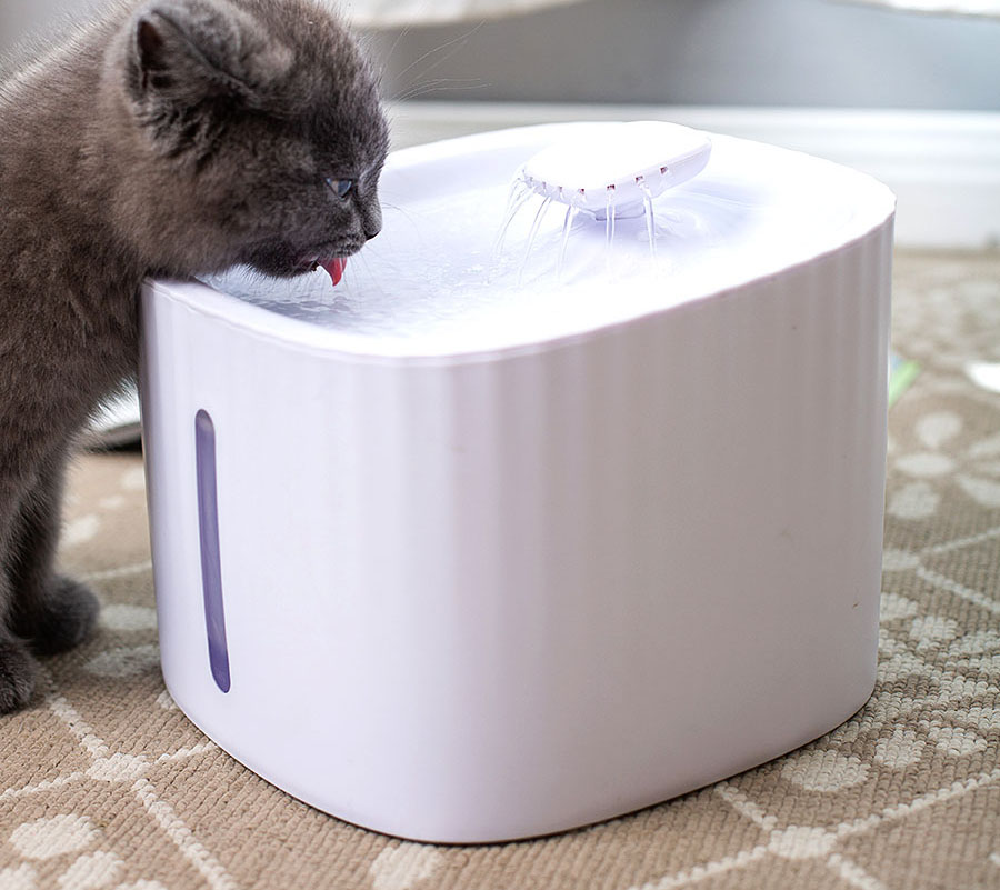 猫咪尿血的原因及解决方法,猫咪尿闭好了后尿血