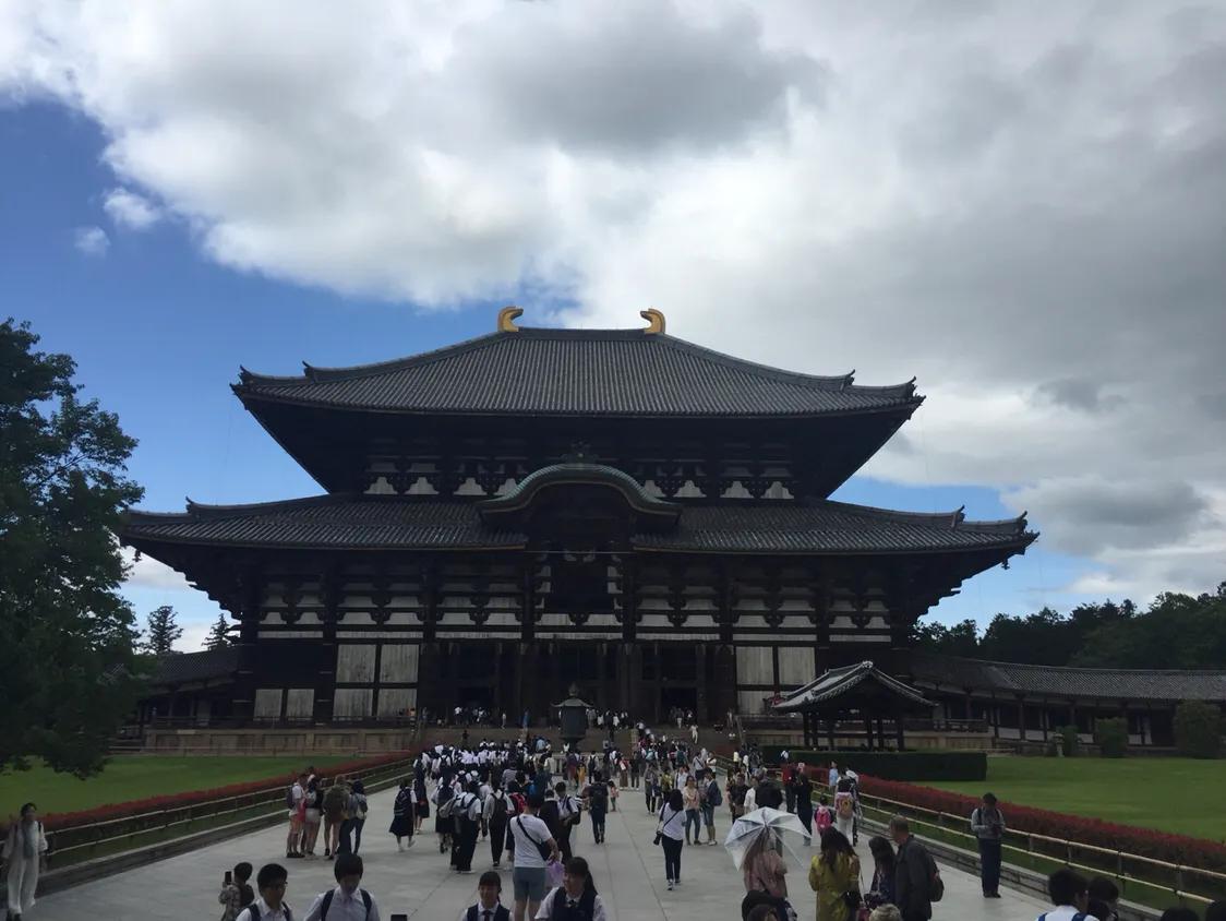 奈良小鹿日本游,日本奈良小鹿攻略