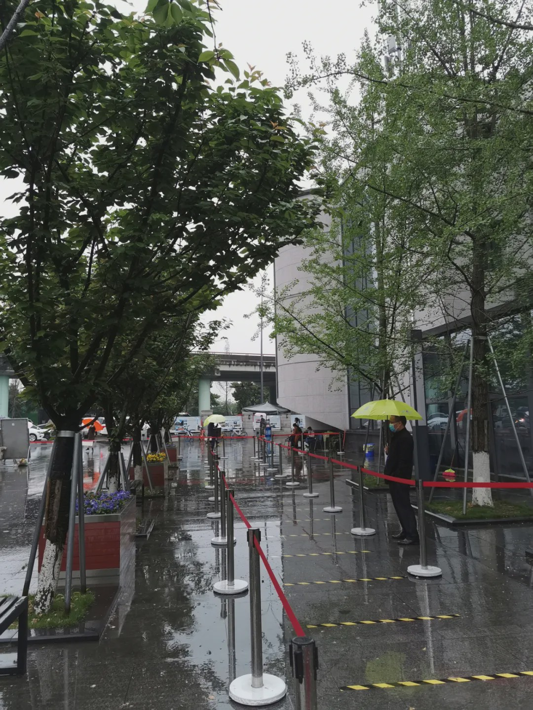 细雨过后空气清新,春雨过后的泥土气息