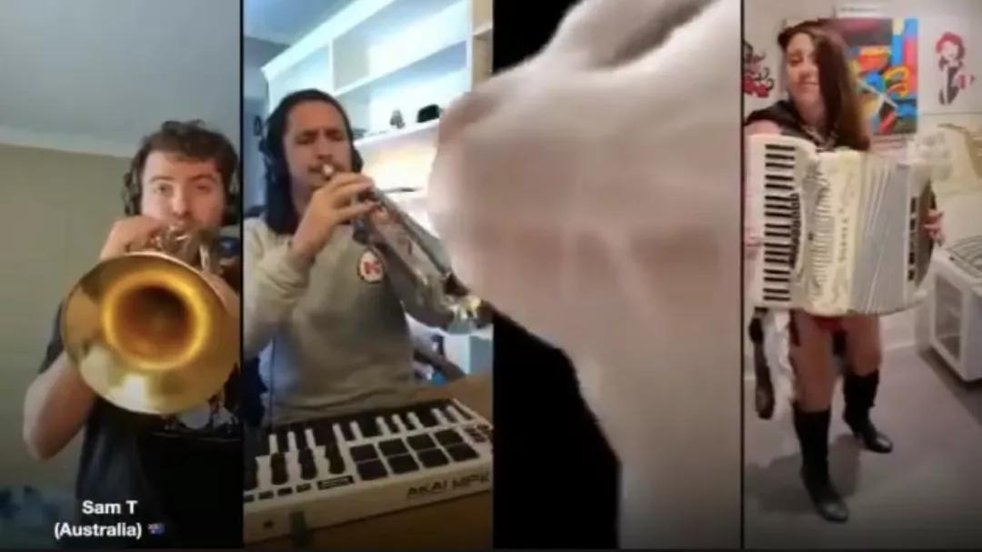 漂亮小奶猫喝奶,4只小奶猫吃豪华大餐