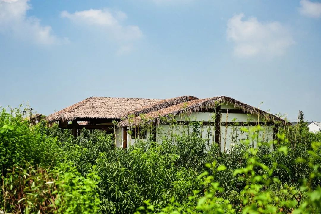 同是上海人，这16家却互相“看不起”，到底哪来的优越感？