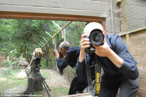 摄影技巧如何开发自己的摄影风格,摄影是一门什么样的艺术呢