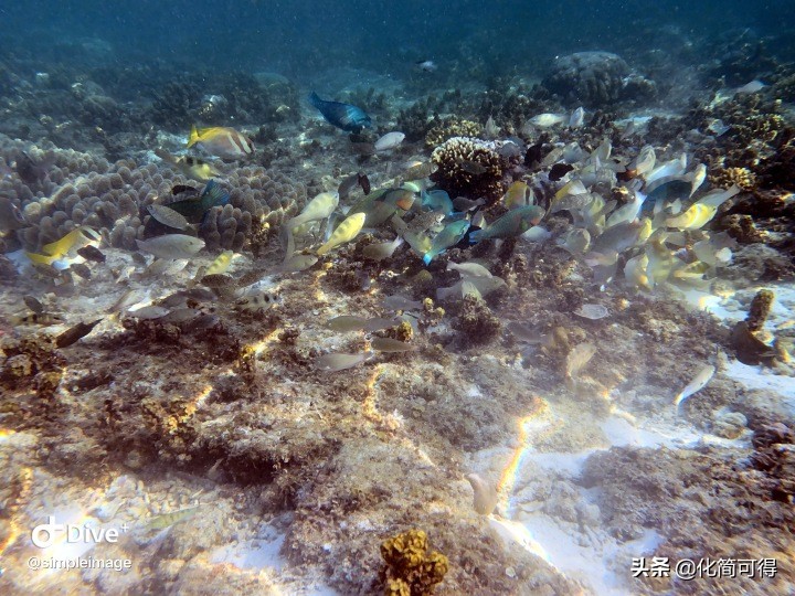 600元玩转澳门三天两夜全攻略,5000块钱玩菲律宾六个海岛