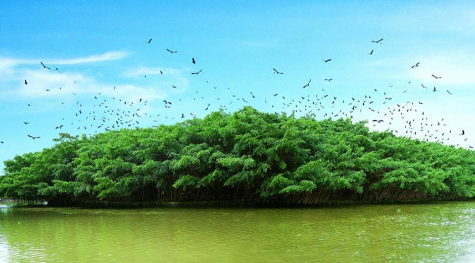 静心盘串修身养性,静心盘