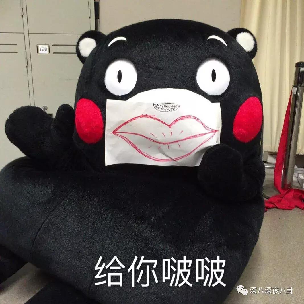 最新神仙综艺节目,2019高分冷门的良心综艺安利