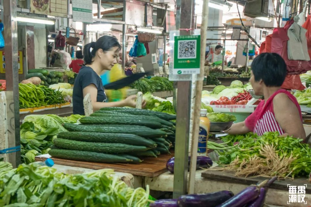 在番禺居住怎么样,在广州番禺哪里住得舒服