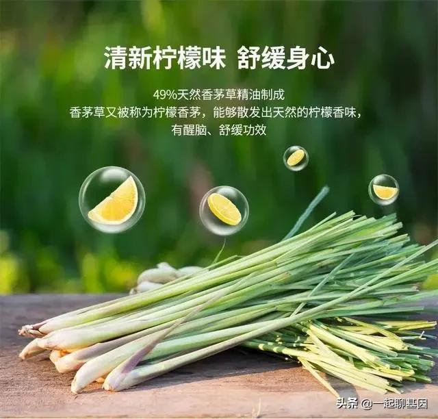 蚊子最大的天敌竟然不是花露水,蚊子的最大克星昆虫