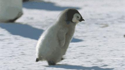 成都断崖式降温西岭雪山下雪,成都为什么会有断崖式降温