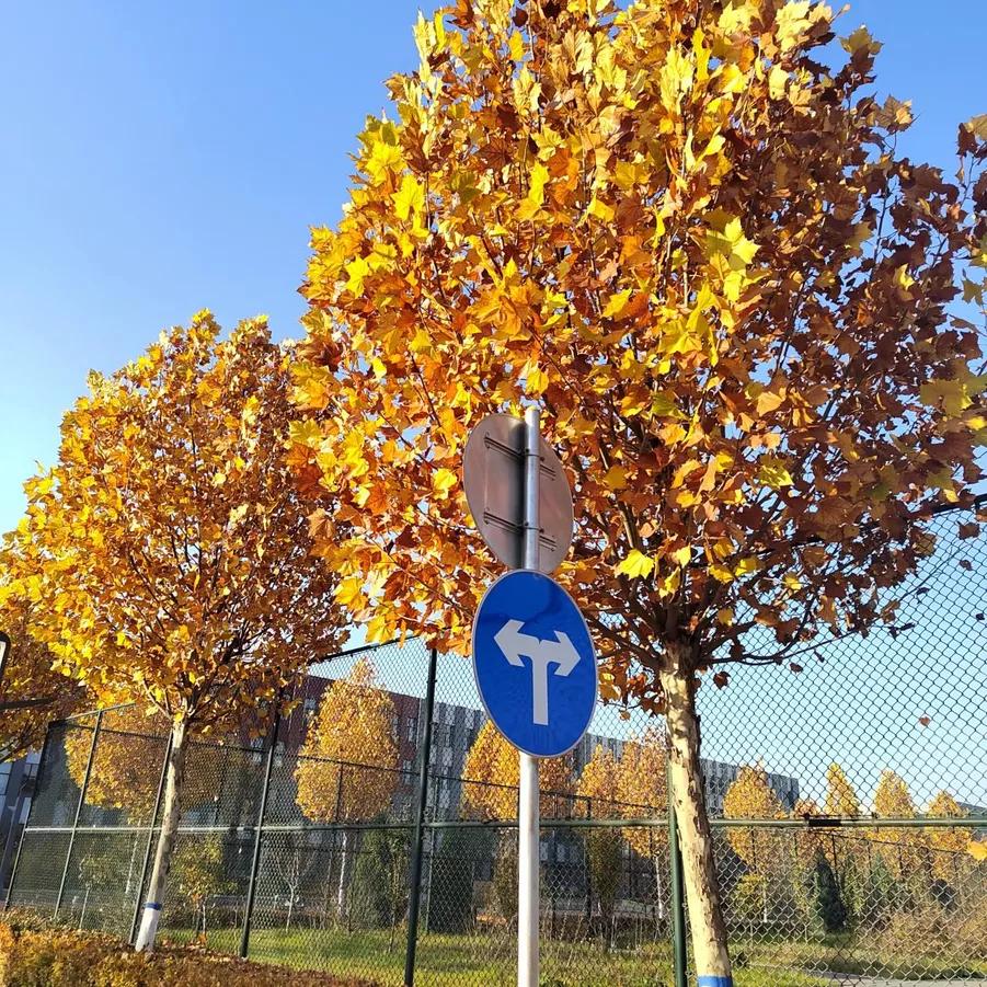 上警校以后会有危险吗,上警校真的有前途吗