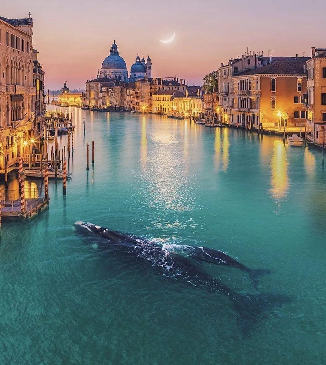 艺术摄影修图,艺术拍照修图