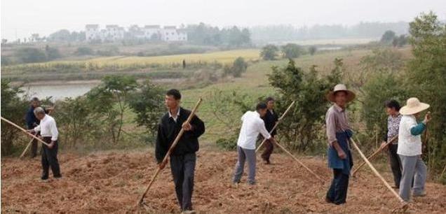 牛年遇到寡年有什么说法,牛年遇寡年好吗