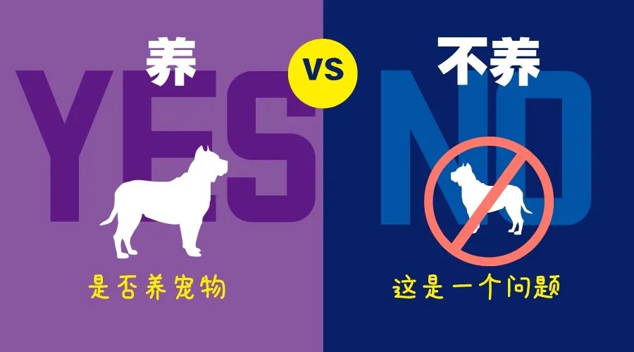 四川高职高专宠物行业相关专业毕业生人数来啦