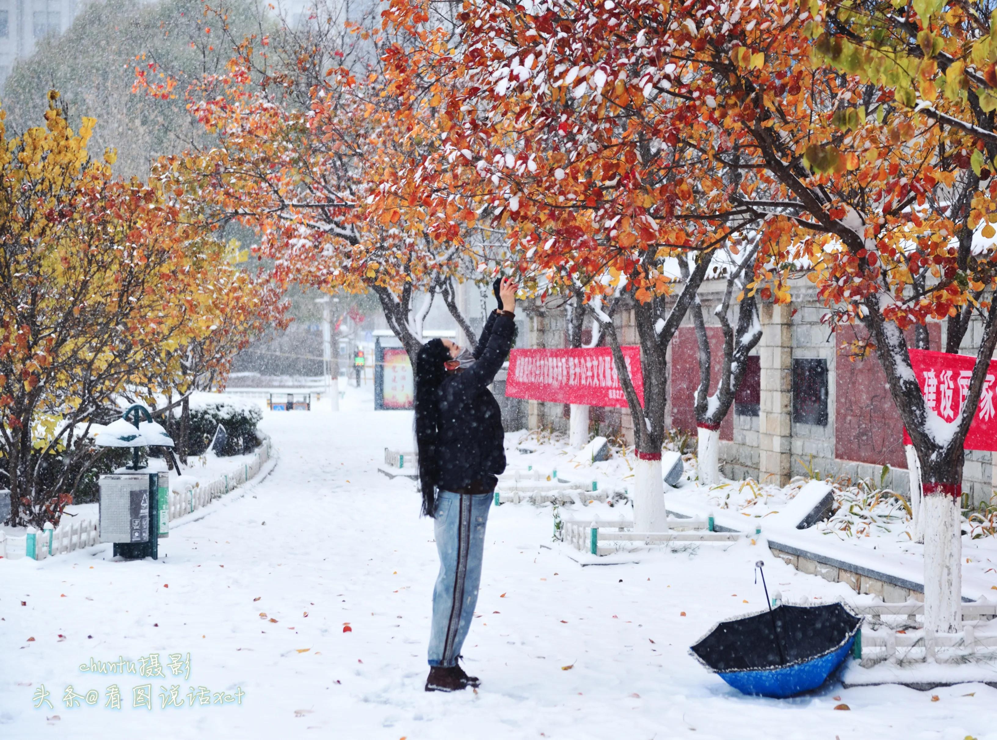 青龙下雪的情景,青龙县今天下雪了吗