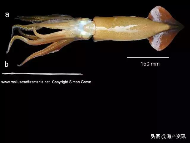 硬核科普全部,硬核科普大全视频