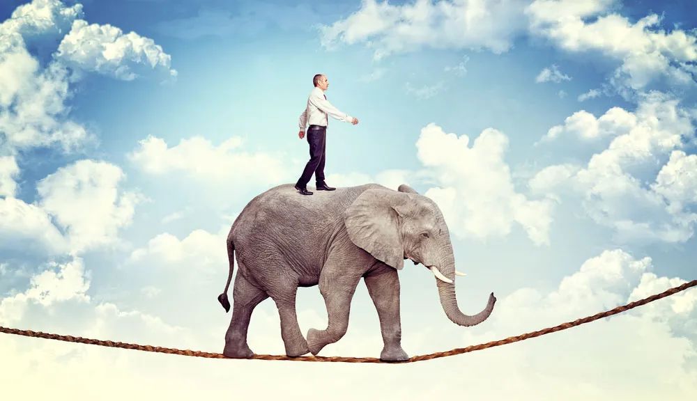 经济危机来了应该怎么办,经济周期的出现