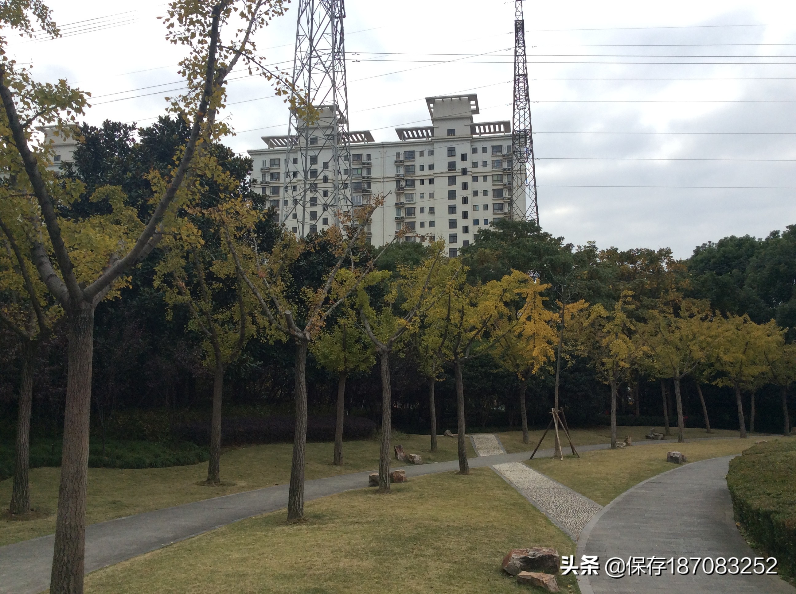 上海徐汇区公园名单,上海梦核公园