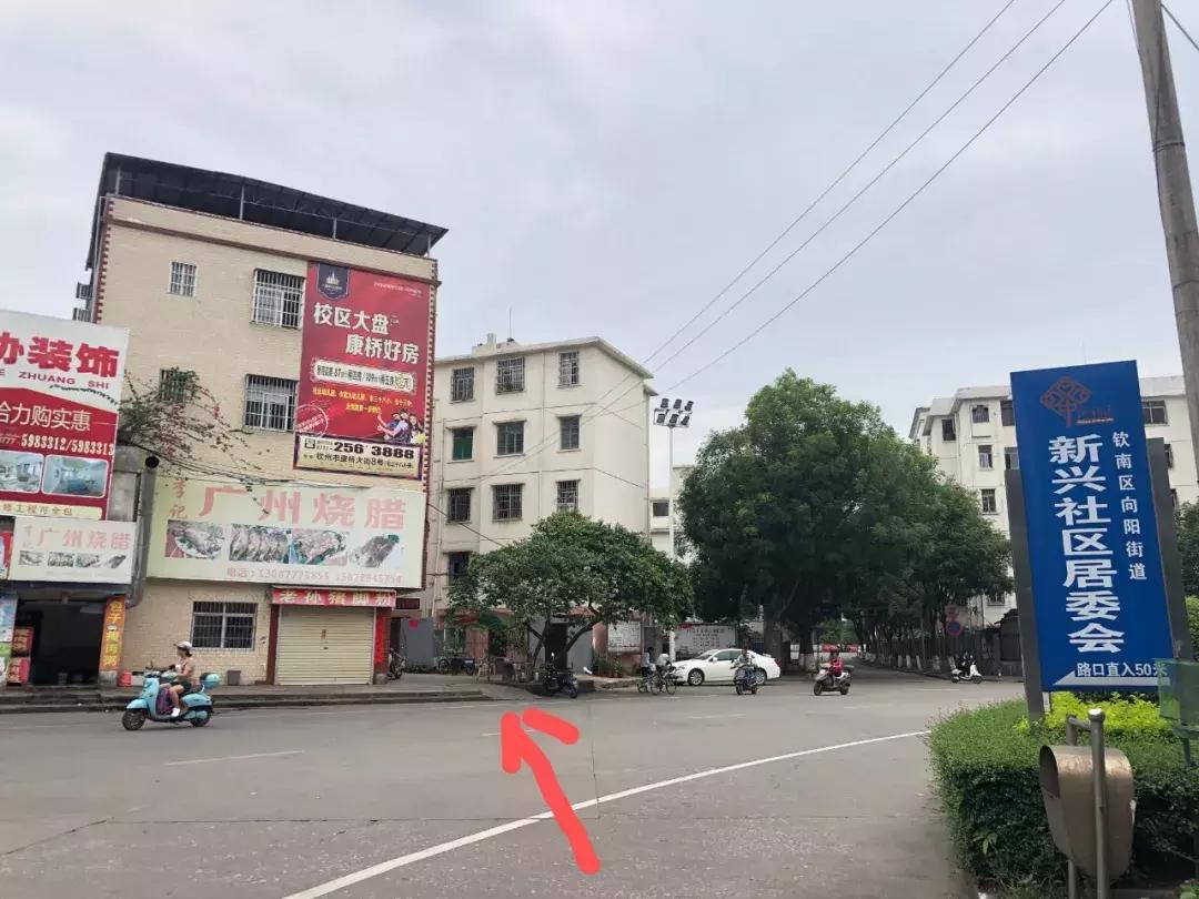 钦州夏天糖水,钦州人喝什么茶