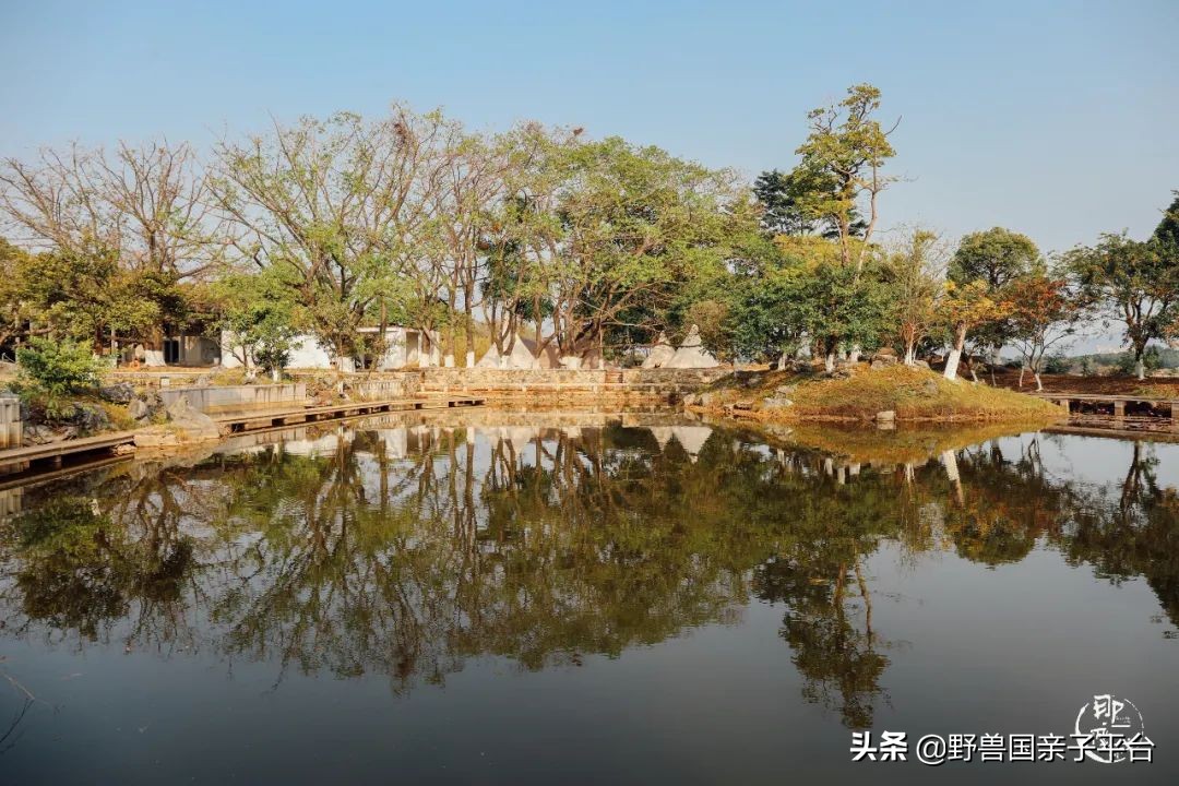 春游在即亲子露营攻略干货奉上,适合亲子的露营装备