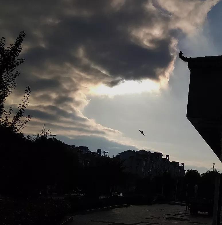 2020,我拍的奇云集锦