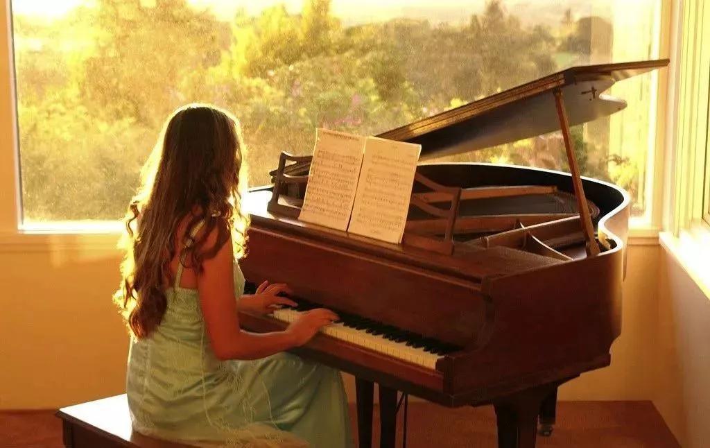 买琴专卖店好还是网上好,买琴应该线上还是线下买