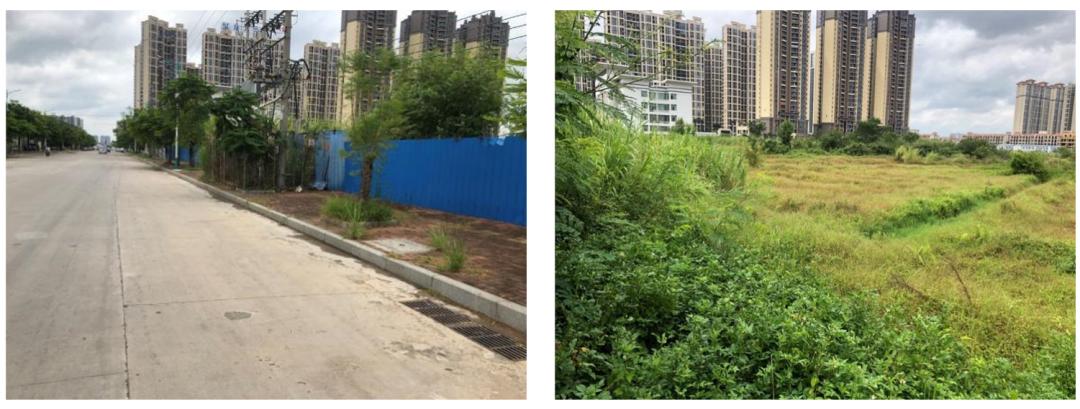 园洲房价涨了吗,园洲楼价