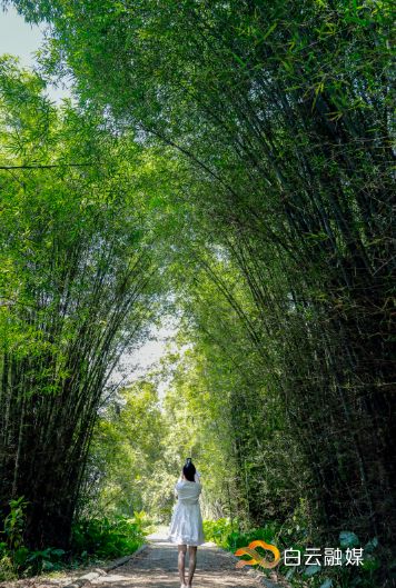 走在乡间小路观赏田园风光体验,看田园风景品乡间生活尝农家美食