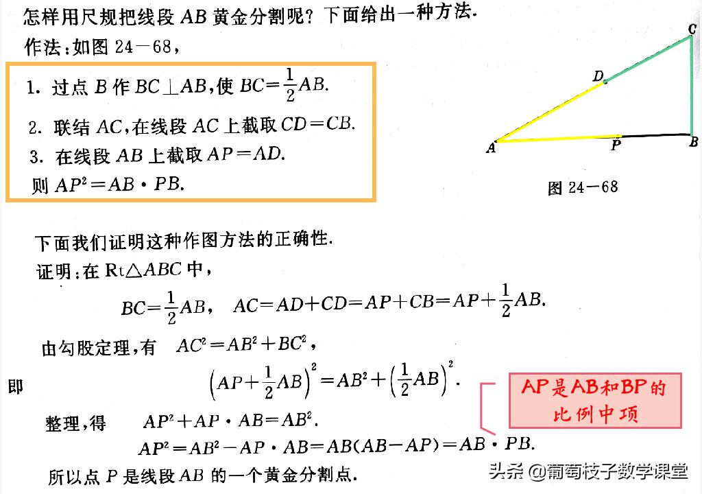 关于黄金比的应用,与黄金比例有关的东西