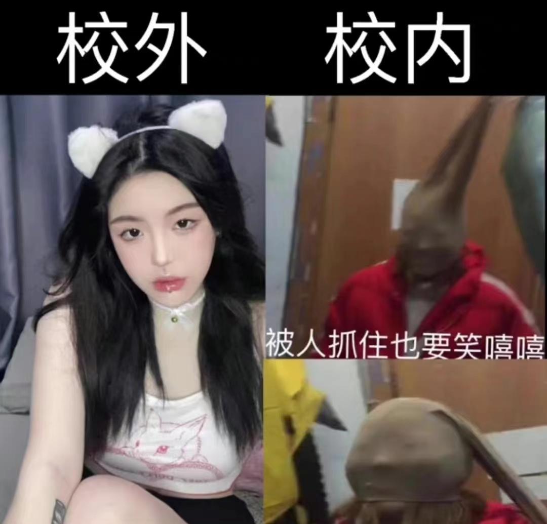 校内读书人vs校外都市丽人文案,校内读书人vs校外都市丽人字幕