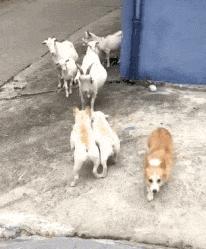 捡到了u盘里面会有什么,捡到一个u盘还好没有用