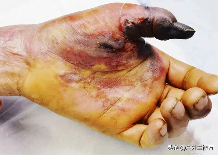 钓鱼人常见的几种鱼,钓鱼人最怕碰到的七种鱼