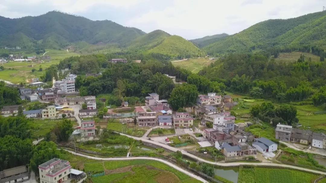 寤鸿缇庝附涔℃潙鐨勬垚鏁堝仛娉曞強缁忛獙,绮惧噯鍙戝姏寤鸿缇庝附涔℃潙