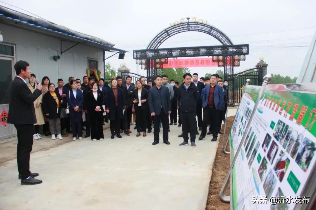 点赞！沂水团县委这项工作成功入选全省典型案例！