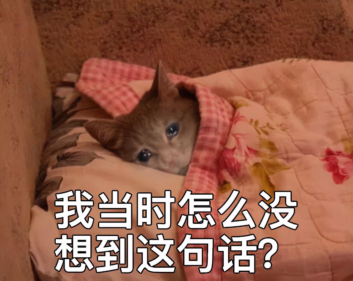 如何一句话怼男生,如何一句话怼哭别人