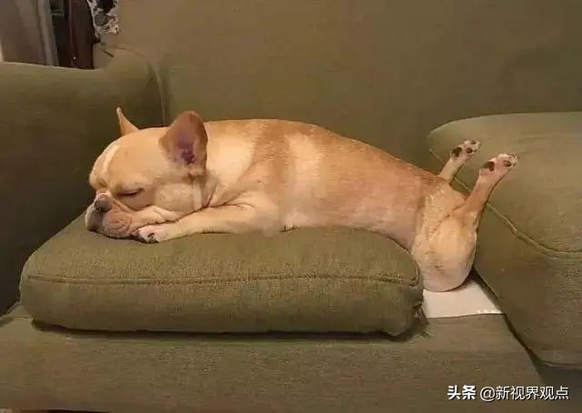 神奇的视觉错位图30张,神奇的错位照片