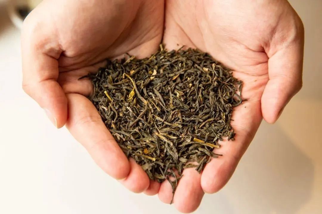 上海新开餐厅名单,上海好吃环境又优雅的餐厅推荐