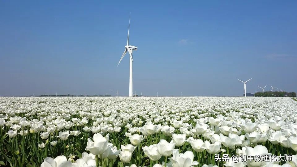 平面直角坐标系下的图形变换,初中数学坐标系中图形规律题