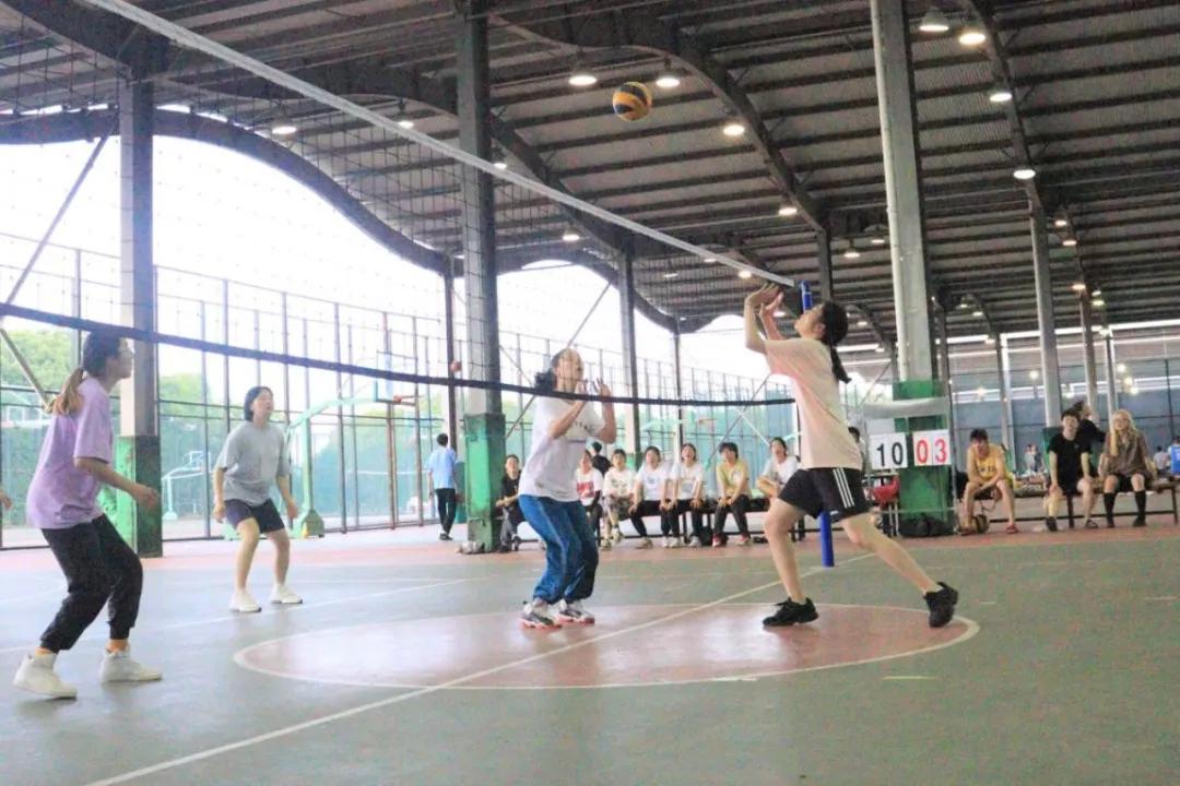 篮球足球排球台球网球,篮球足球羽毛球乒乓球排球图片