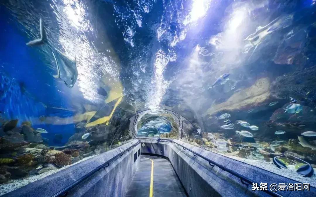 170元机票价格,170元飞机票