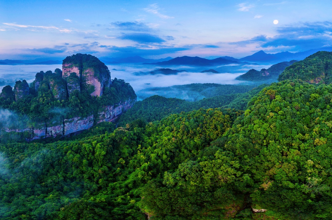 世界客都家乡梅州,梅州为什么被称为世界客都