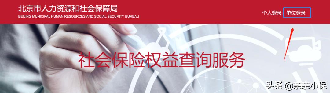 个人社保权益查询,怎么查询社保权益单