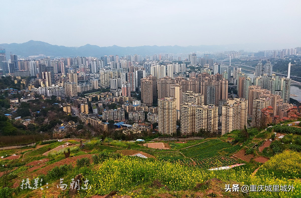 好奇探寻平顶山顶是否“平”，无意发现了渝中区与沙坪坝区的界牌