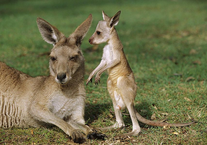 怀胎三年故事,怀胎四年的故事