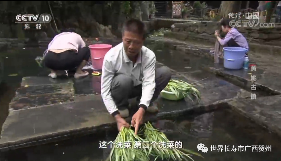 过去的一周你都经历了什么,过去的一年你错过了哪些大瓜