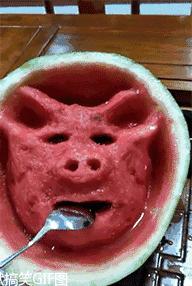 鎼炵瑧gif鎴戠煡閬撲綘鏄釜濡瑰瓙,鎼炵瑧gif娈靛瓙濡瑰瓙浣犲お鐨簡