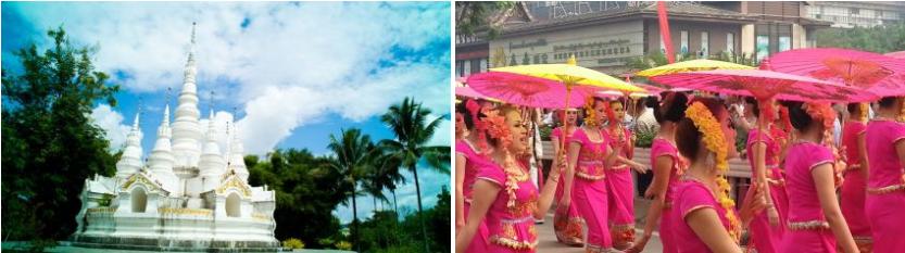 西双版纳原始森林门票,西双版纳所有景点门票一览表