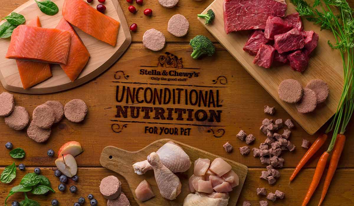 喵老师被封号的原因,喵老师被开除了