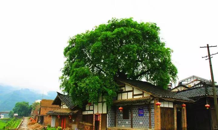 后柳水乡和汉江三峡是一个地方吗,汉江后柳古镇