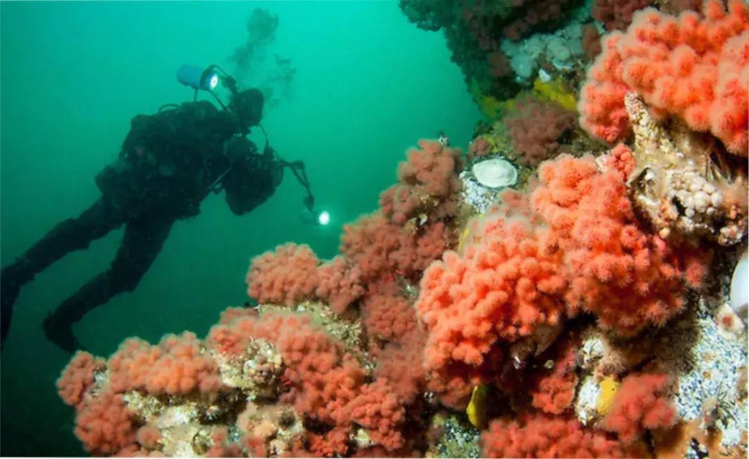 温哥华,超出你期待的钓鱼圣地