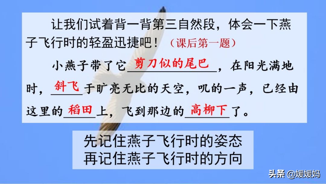 三年级下册第二课燕子的优美语句,燕子课文三年级下册同步练习答案